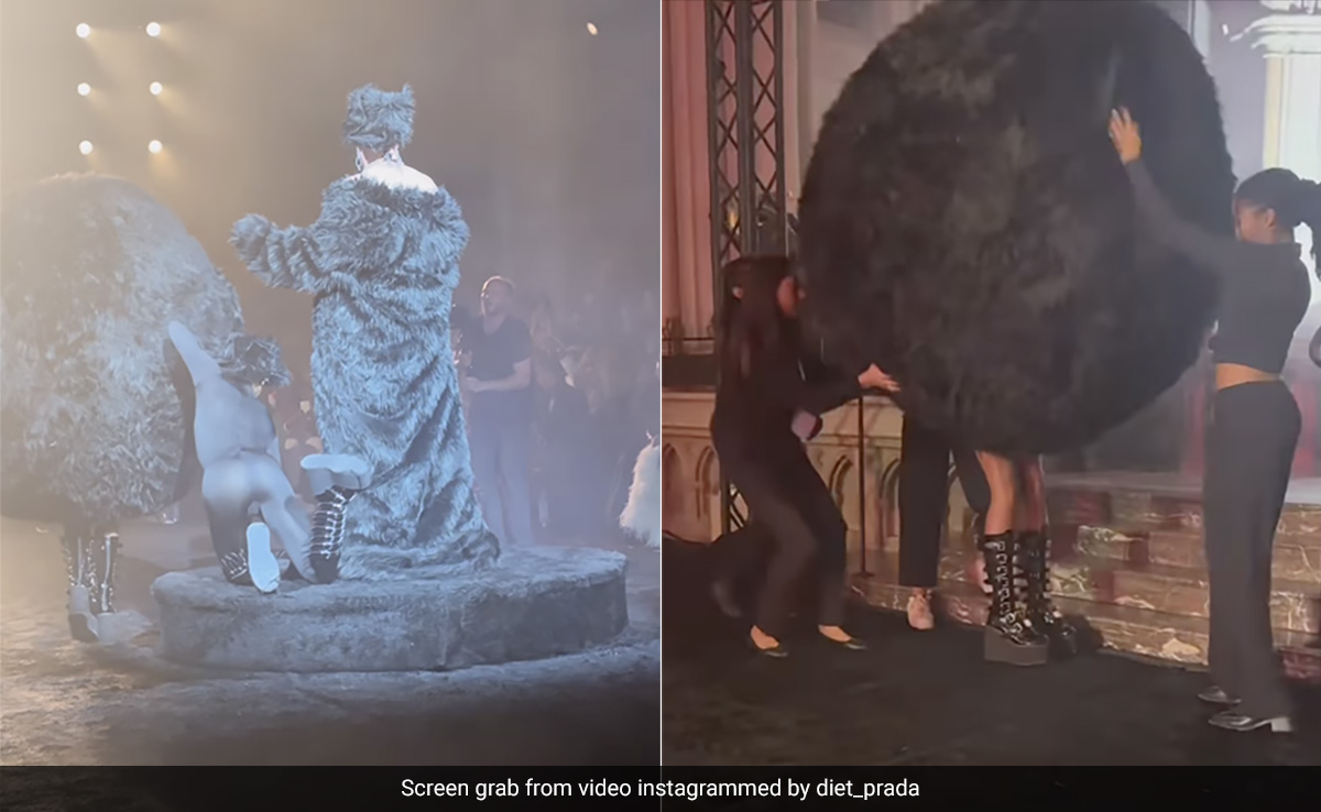 Viral: Model Dressed As Giant Furball Turns "Wrecking Ball" In A Mishap At Paris Fashion Week For Christian Cowan's Show