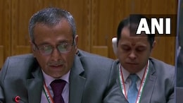 "Deeply Concerned": India At UN On Israel-Gaza War