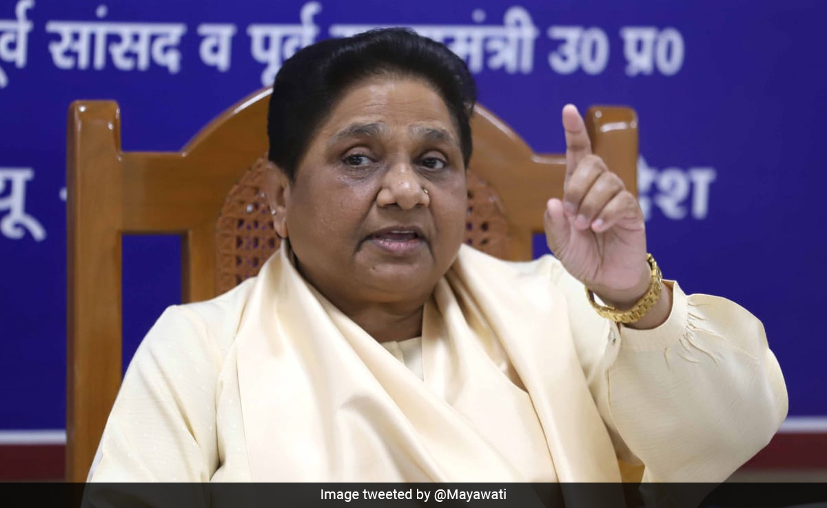 "Don't Be Swayed By Congress' Caste-Census Demand": Mayawati In Madhya Pradesh