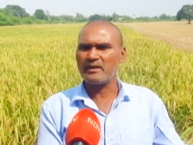 सरकार ने कई फसलों की MSP में की बढ़ोतरी, लेकिन किसान उठा रहे हैं सवाल 