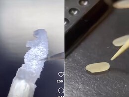 Artist ने चावल के एक दाने पर उकेरी 3डी संरचना, खूबसूरत कलाकारी देख इंटरनेट हुआ इंप्रेस