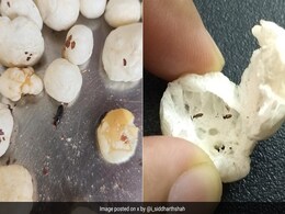 फ्लिपकार्ट से मंगाए मखाने में रेंगते मिले कीड़े, कस्टमर ने मांगा रिफंड, तो कंपनी ने दिया ये जवाब, लोगों ने बताए अपने अनुभव फ्लिपकार्ट से मंगाए मखाने में रेंगते मिले कीड़े, कस्टमर ने मांगा रिफंड, तो कंपनी ने दिया ये जवाब, लोगों ने बताए अपने अनुभव