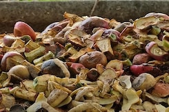 Five Key Actions For Reducing Food Waste Five Key Actions For Reducing Food Waste