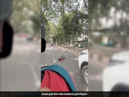 अपने इस शौक को पूरा करने के लिए छोड़ दी गूगल की नौकरी, अब इस शहर में टैक्सी चला रहा शख्स अपने इस शौक को पूरा करने के लिए छोड़ दी गूगल की नौकरी, अब इस शहर में टैक्सी चला रहा शख्स