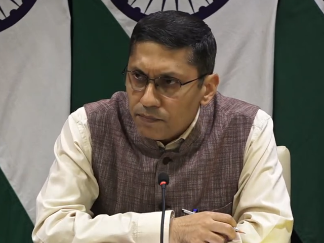 How Does India See Hamas? What's The Policy On Palestine? Foreign Ministry Clarifies