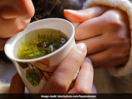 सांसों की समस्या को दूर करने में मददगार है वन तुलसी का काढ़ा, इन लोगों के लिए वरदान से कम नहीं