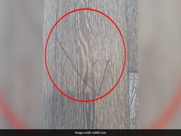 फ्लोर पर आई हल्की सी खरोंच, नुकसान के लिए मकान मालिक ने किराएदार से मांगी इतनी बड़ी रकम, लोगों के उड़े होश फ्लोर पर आई हल्की सी खरोंच, नुकसान के लिए मकान मालिक ने किराएदार से मांगी इतनी बड़ी रकम, लोगों के उड़े होश