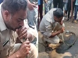 जहरीले सांप की जान बचाने के लिए पुलिसवाले ने मुंह से दिया सीपीआर, VIDEO देख हैरत में पड़े लोग जहरीले सांप की जान बचाने के लिए पुलिसवाले ने मुंह से दिया सीपीआर, VIDEO देख हैरत में पड़े लोग