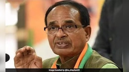 US Trade Deal Takes Centre Stage At Shivraj Chouhan's Punjab Speech