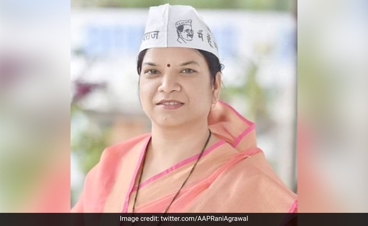Madhya Pradesh Polls: AAP Fields State Unit President Rani Agrawal From Singrauli