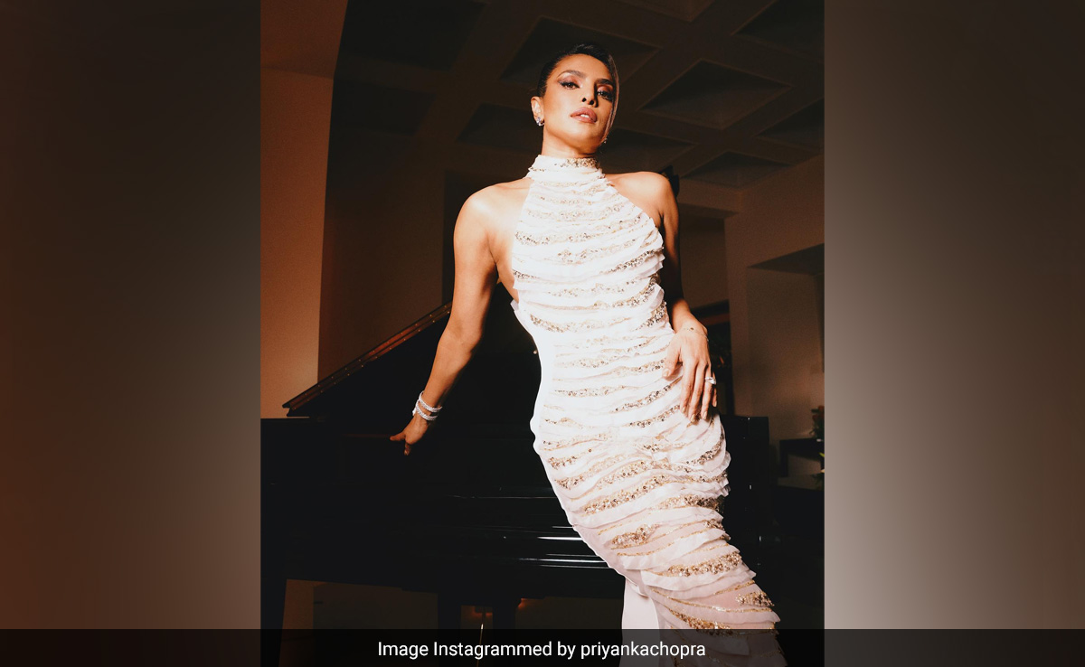 Priyanka Chopra's New Post Gets Big Love From Nick Jonas, Natasha Poonawalla And Others