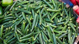 How To Keep Okra (Bhindi) Fresh: 5 Easy Tips