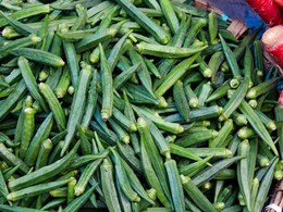 How To Keep Okra (Bhindi) Fresh: 5 Easy Tips