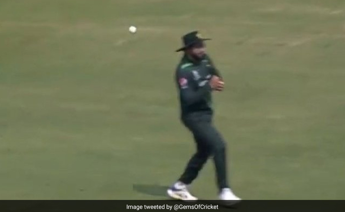 इमाम-उल-हक ने टपकाया 'लॉलीपॉप कैच', देखकर गेंदबाज शाहीन अफरीदी ने सिर पकड़ लिया, Video