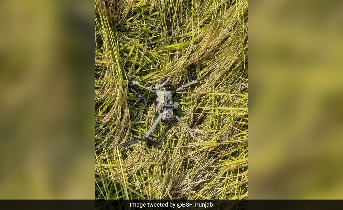 Drone Used To Smuggle Drugs From Pakistan Recovered From Punjab Field