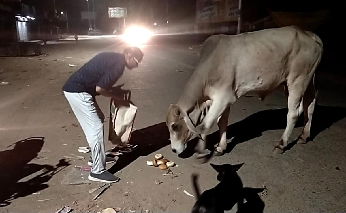 बांदीकुई में बेज़ुबान जानवरों को खाना खिलाने हर रोज़ अपनी बाइक से 10 KM सफ़र करते हैं अशोक अग्रवाल