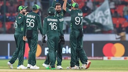 Pakistan vs Netherlands Highlights, World Cup 2023: Pakistan Ease Past Netherlands By 81 Runs