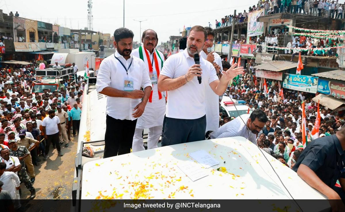 "You Are C-Team, Chor Team": KTR To Rahul Gandhi's 'BJP B-Team' Charge