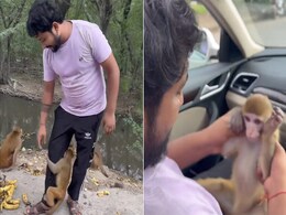 केला खिलाने आए शख्स को मां समझ बैठा बंदर का बच्चा, प्यार से पुचकार लड़के ने घर लाकर ज़िंदगी बदल दी केला खिलाने आए शख्स को मां समझ बैठा बंदर का बच्चा, प्यार से पुचकार लड़के ने घर लाकर ज़िंदगी बदल दी