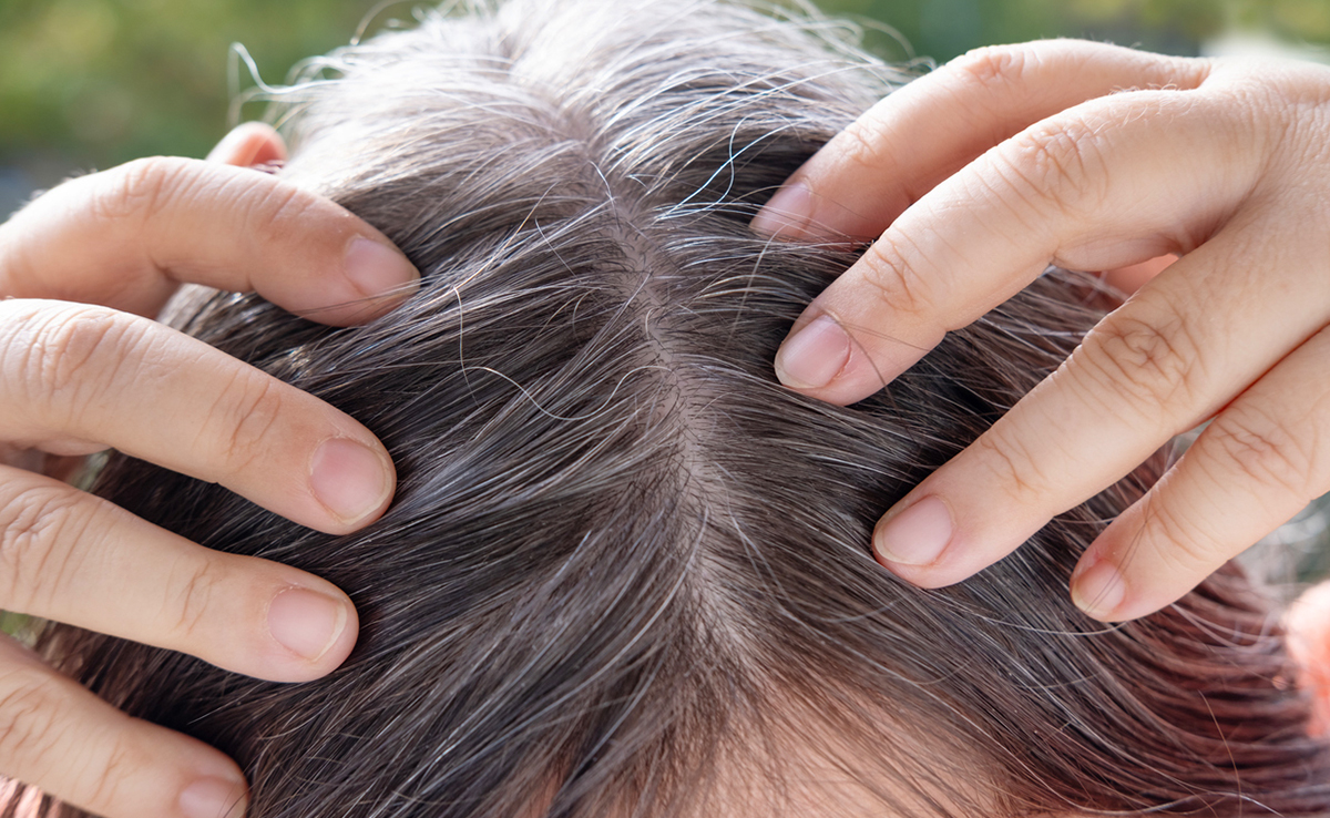 इस फल की पत्तियां काले कर सकती हैं सफेद बाल, बस इस तरह करना होगा इस्तेमाल 