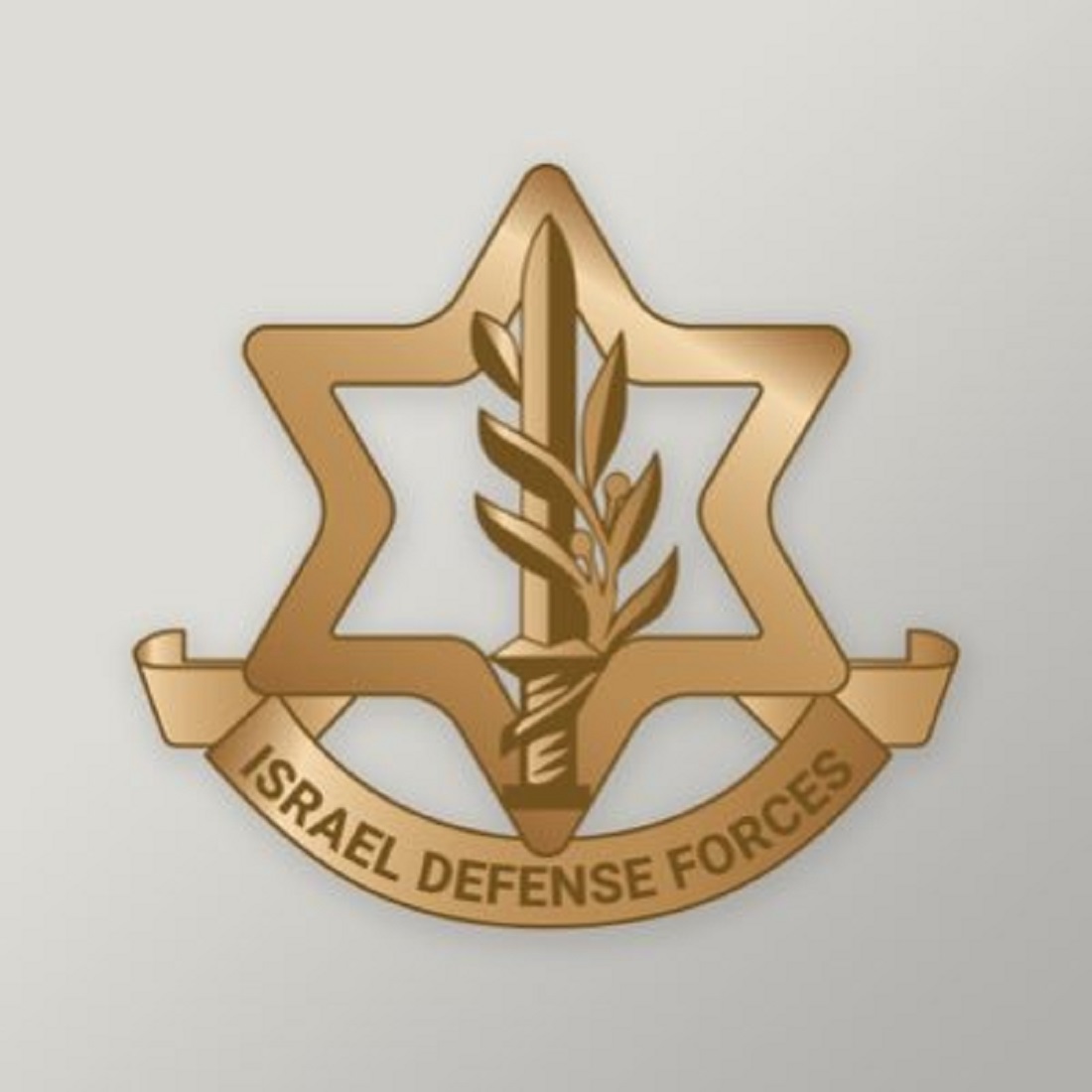 Israel-Hamas war :&nbsp;इजरायली सेना का बयान- नेवातिम एयरबेस पर पहुंचा अमेरिकी हथियारों को ले जाने वाला पहला विमान&nbsp;