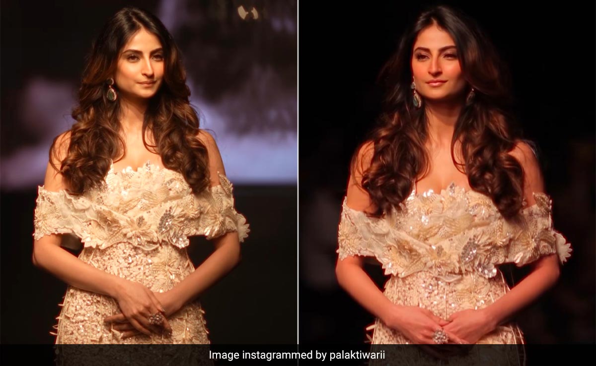 Palak Tiwari Served Showstopper Energy In An Embellished Gown For Neeta Lulla's Show