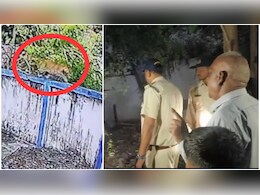 Ratlam News: रतलाम जिले की सड़कों पर घूम रहा तेंदुआ, इलाके में दहशत का माहौल 