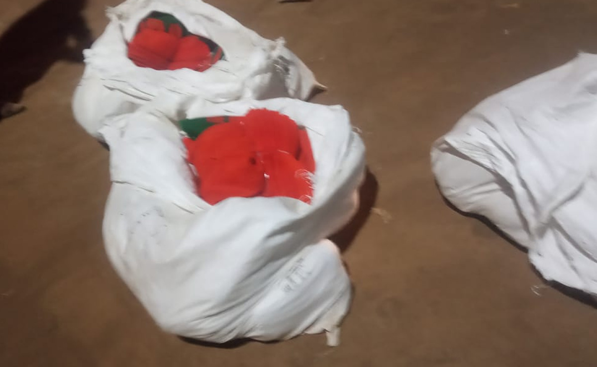 MP Election: CM शिवराज की सभा में भीड़ जुटाने के लिए बांटी जा रहीं थीं साड़ियां, प्रशासन ने की जब्त