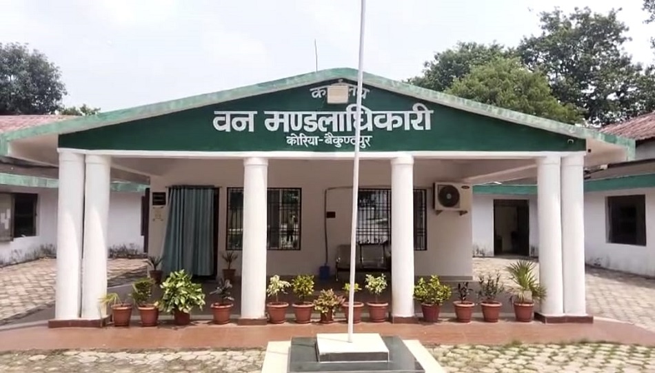 Forest Department में 15 साल से जमे हैं वनकर्मी, वन क्षेत्रपाल से असिस्टेंट डायरेक्टर तक की जिम्मेदारी&nbsp;