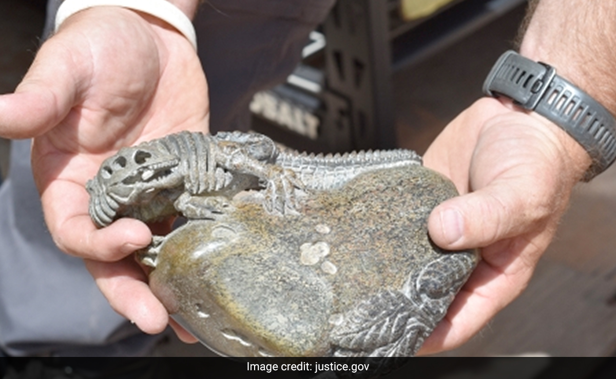 4 US Citizens Steal Dinosaur Bones Worth $1 Million In 5 Years, Sell It To China