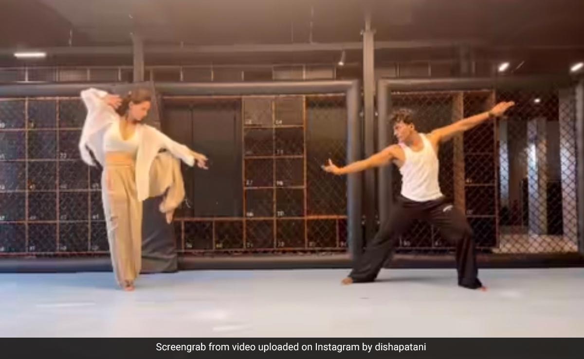 Disha Patani Is Setting Serious Fitness Goals With Her Martial Arts Skills In This Video