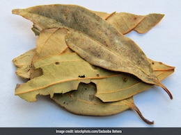 रसोई में रखे इस एक पत्ते से कम हो सकती है डायबिटीज की दिक्कत, ब्लड शुगर होता है कंट्रोल रसोई में रखे इस एक पत्ते से कम हो सकती है डायबिटीज की दिक्कत, ब्लड शुगर होता है कंट्रोल