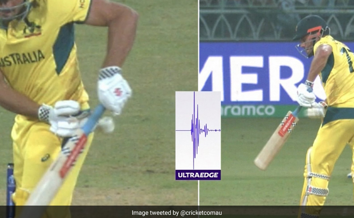 ICC World Cup 2023: अंपायर के स्टोइनिस को आउट देने पर बढ़ा विवाद, ICC से AUS मांगेगा जवाब
