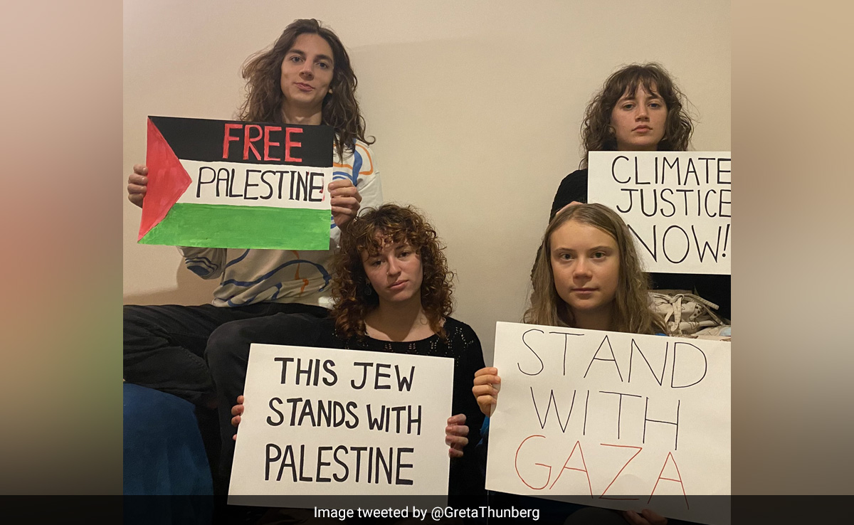 "Hamas Doesn't...": Israel Responds To Greta Thunberg's Post On Gaza