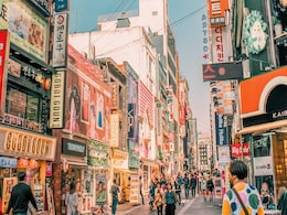South Korea Declares War On Bedbugs As Pests Take Over Homes And Trains South Korea Declares War On Bedbugs As Pests Take Over Homes And Trains
