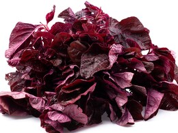 Lal Saag Benefits: क्या है लाल साग? सर्दियों में लाल साग खाने के फायदे जान हैरान हो जाएंगे आप Lal Saag Benefits: क्या है लाल साग? सर्दियों में लाल साग खाने के फायदे जान हैरान हो जाएंगे आप