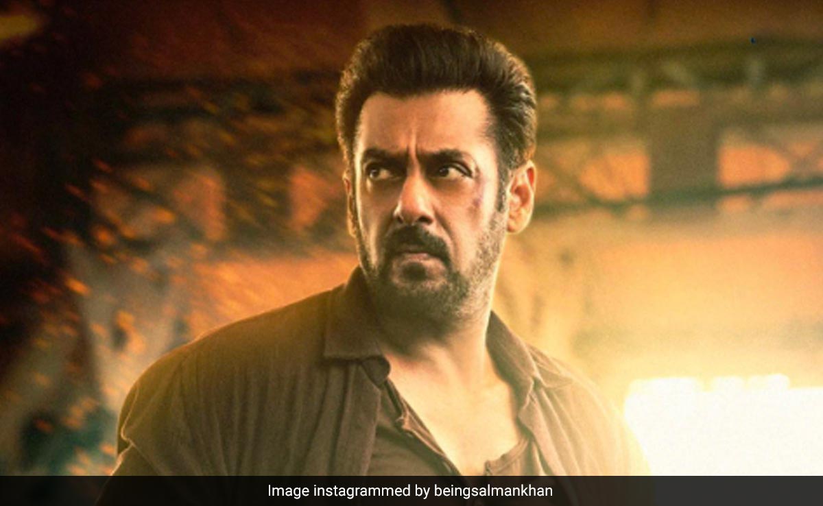 <i>Tiger 3</i> Box Office Collection Day 6: Salman Khan's Film "Is Stable"