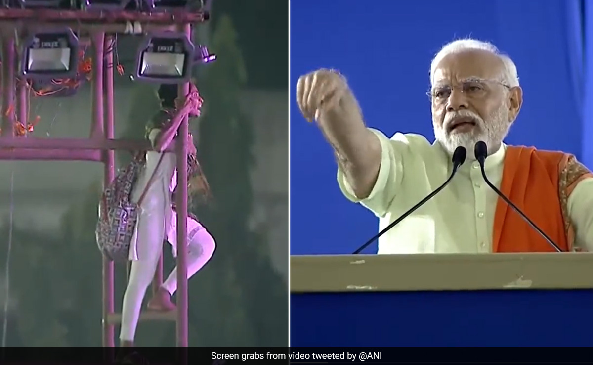 Video: "Beta Neeche Aao," PM Modi Tells Girl Who Climbed Light Tower At Rally