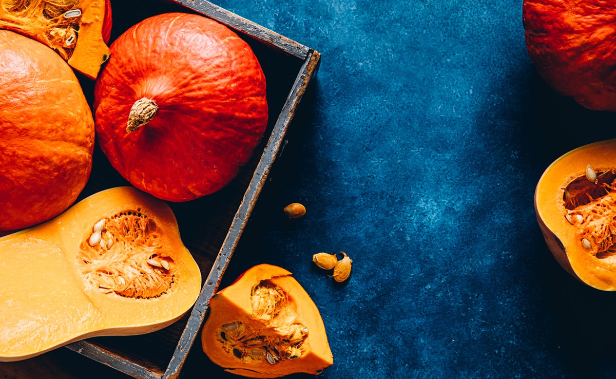 Butternut Squash Vs Pumpkin What Are The Differences? USA Express Daily