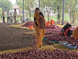 प्याज निर्यात पर रोक को लेकर महाराष्ट्र की सियासत गर्मायी, शरद पवार आंदोलन में कूदे तो शिंदे बोले- 'केंद्र से बात करेंगे' प्याज निर्यात पर रोक को लेकर महाराष्ट्र की सियासत गर्मायी, शरद पवार आंदोलन में कूदे तो शिंदे बोले- 'केंद्र से बात करेंगे'