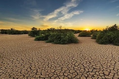Drought Declared in 43 Maharashtra Talukas Drought Declared in 43 Maharashtra Talukas