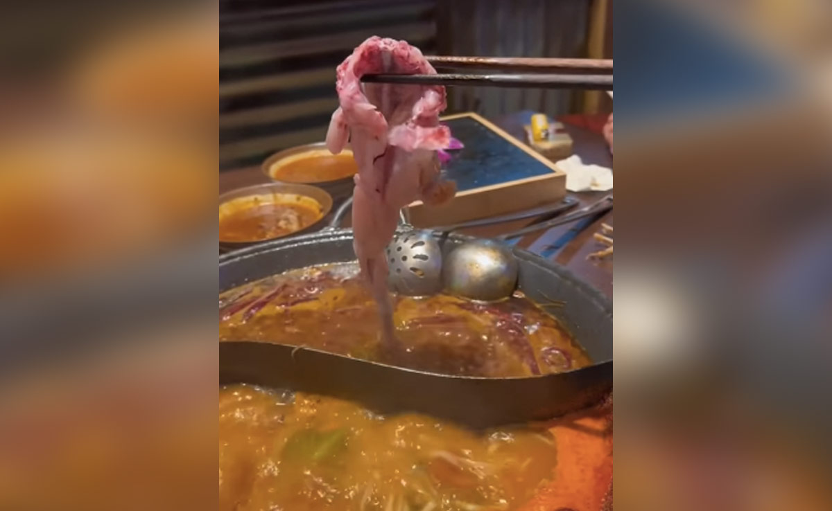 मरने के बाद भी ज़िंदा हो गया चिकन, ग्रेवी में जाने से पहले रहम की भीख मांगी, वीडियो भावुक कर देगा