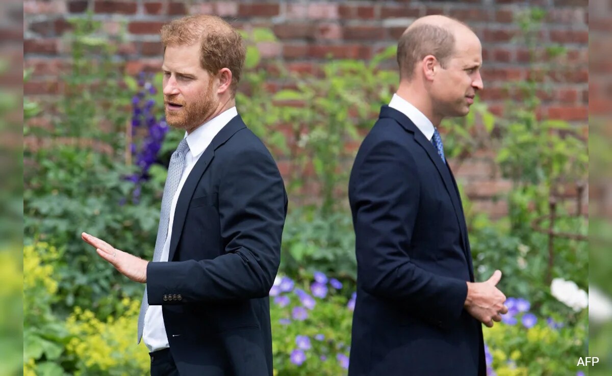 Prince Harry, Prince William's Relationship Beyond Repair, Says Author - Vimarsana News
