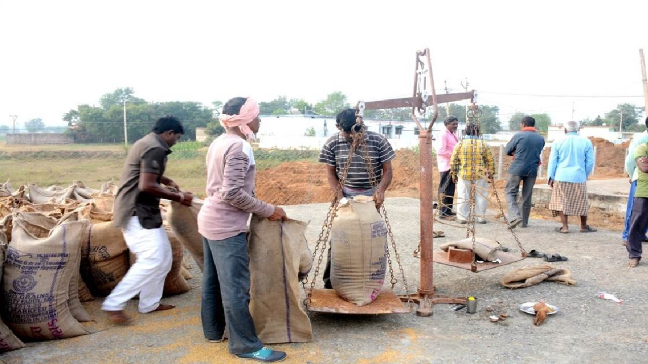 चुनाव से पहले छत्तीसगढ़ में धान खरीद का महाअभियान