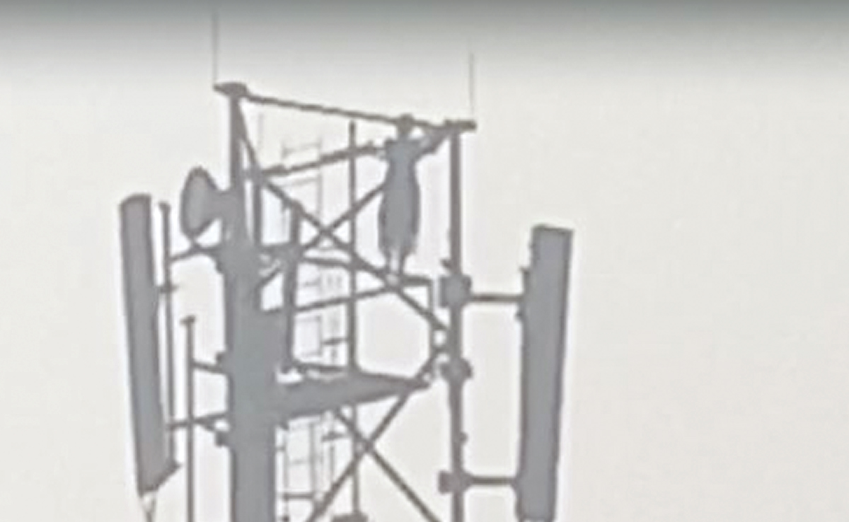 On Camera, UP Woman Climbs Mobile Tower Alleging Boyfriend Cheated On Her