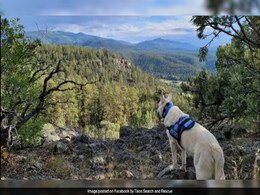 Missing US Hiker's Body Found With Surviving Dog 2 Months After Disappearance Missing US Hiker's Body Found With Surviving Dog 2 Months After Disappearance