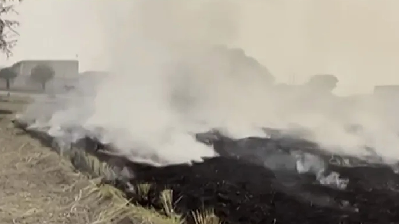 तमाम कोशिशों के बाद भी पराली जलाने को क्यों मजबूर हैं किसान?