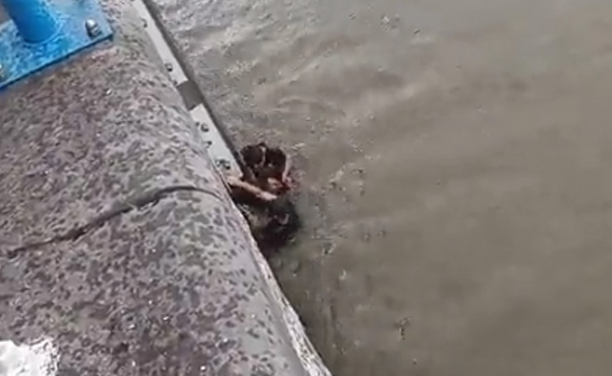 गहरे पानी में डूब रहा था शख्स, अनजान को बचाने के लिए दो युवकों ने लगा दी जान का बाजी