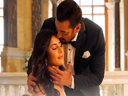 <i>Tiger 3</i> Box Office Collection Day 14: Salman Khan's Film Is At 264 Crore And Counting <i>Tiger 3</i> Box Office Collection Day 14: Salman Khan's Film Is At 264 Crore And Counting