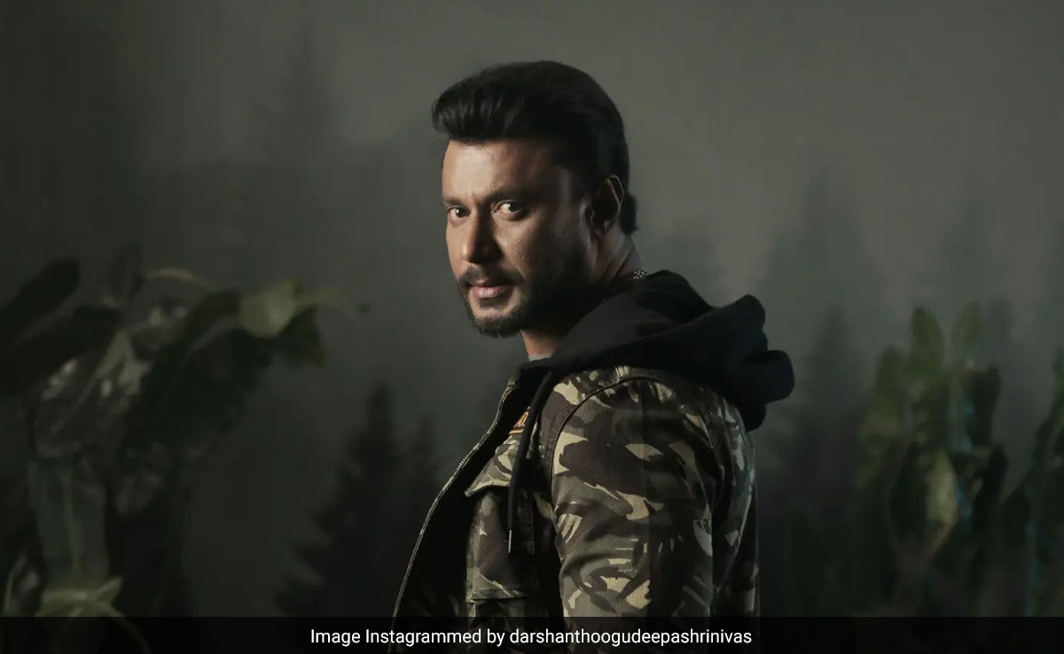Domestic Violence, Reckless Driving: Actor Darshan's History Of Crimes